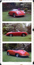 1959 Carrera GS/GT Speedster Porsche Poster